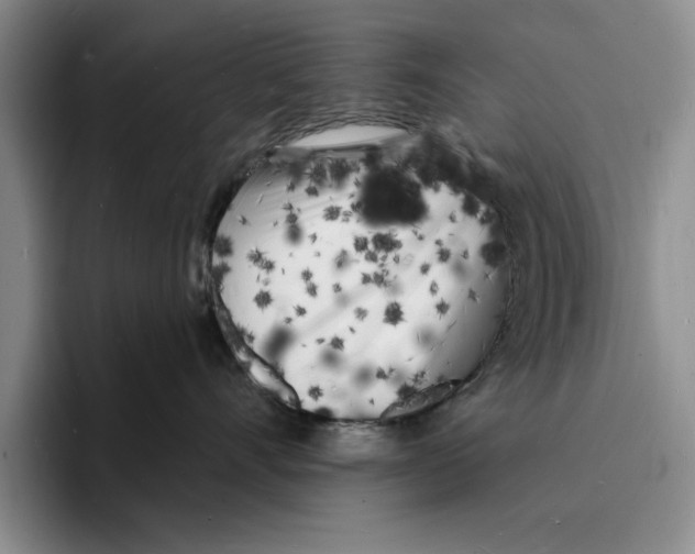 X0000096390528200802211145