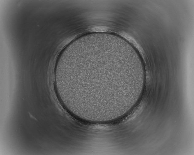 X0000096390529200802211144