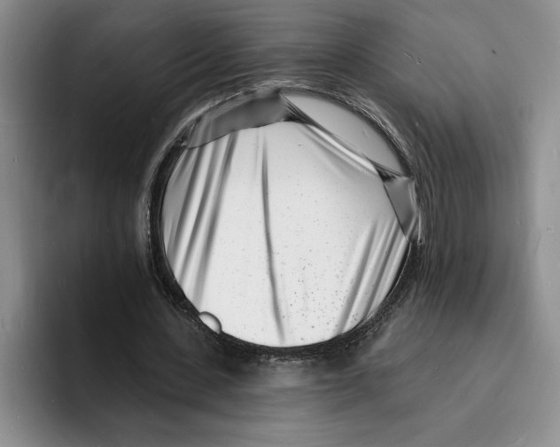 X0000096390531200802211144