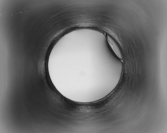X0000096390535200802211144