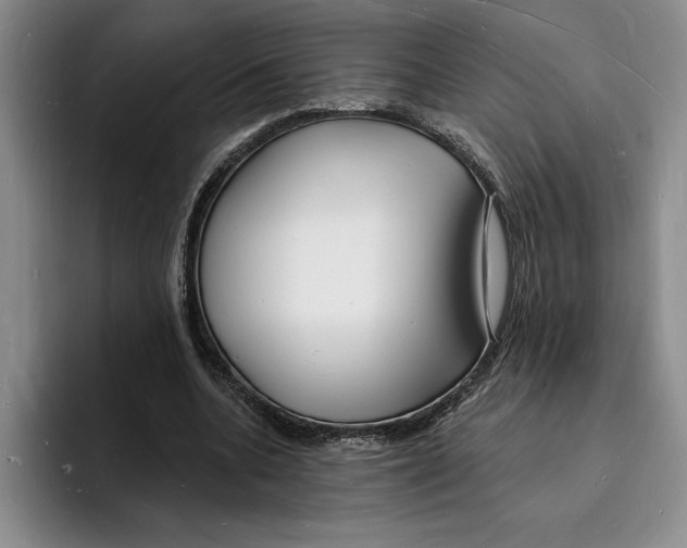 X0000096390536200802211144