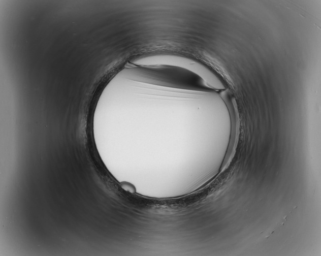 X0000096390538200802211144