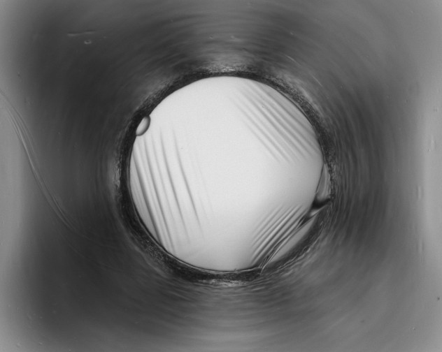 X0000096390539200802211144