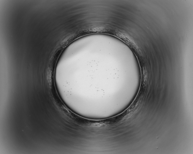 X0000096390542200802211144