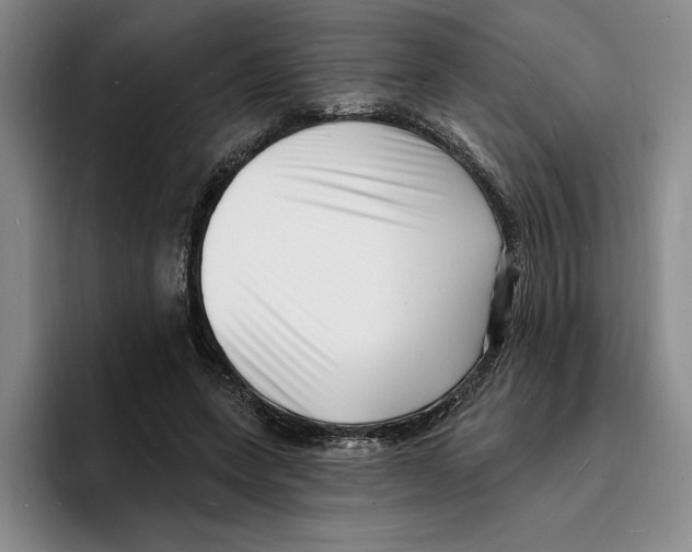 X0000096390543200802211144