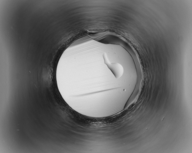 X0000096390544200802211144