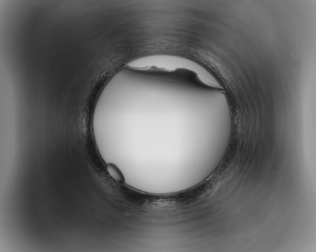 X0000096390546200802211144