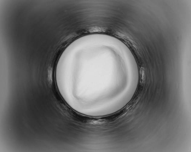 X0000096390550200802211144