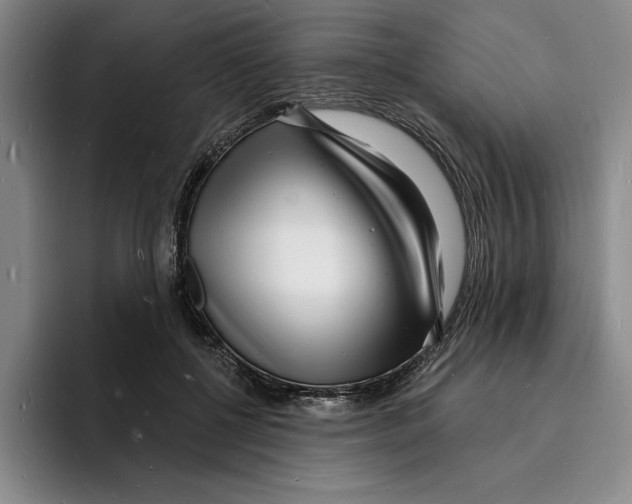 X0000096390552200802211144