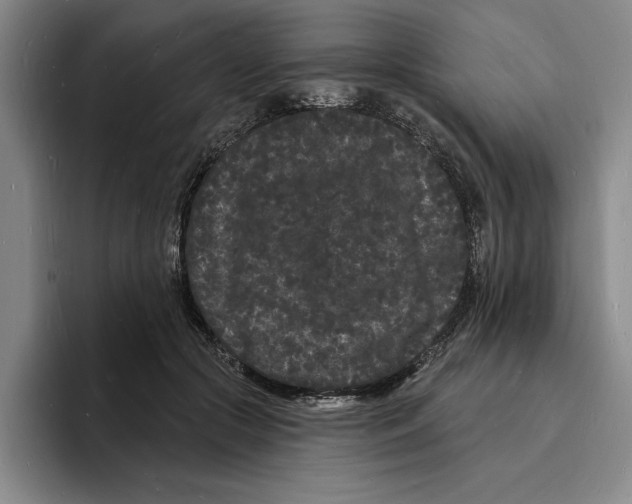 X0000096390553200802211144