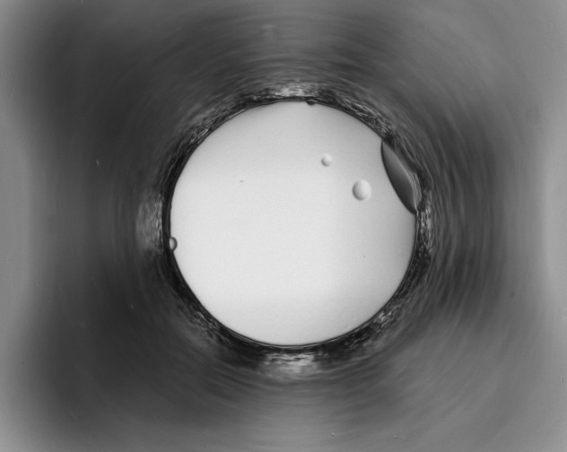 X0000096390554200802211144