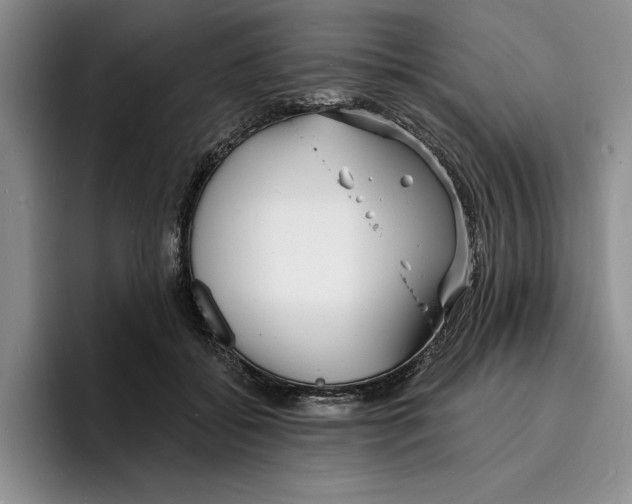 X0000096390556200802211144
