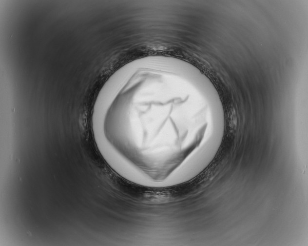 X0000096390559200802211144