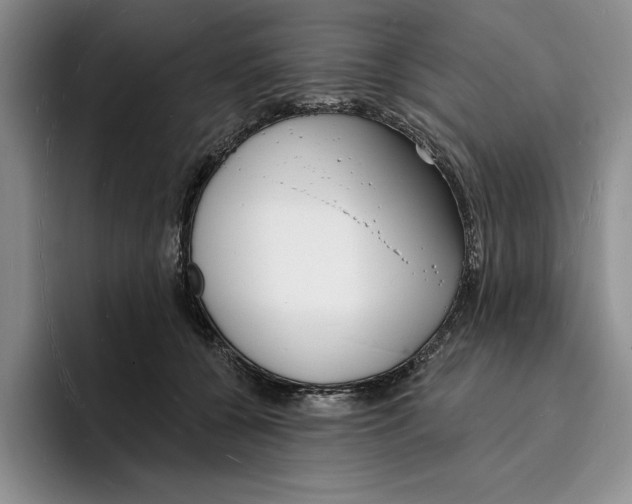 X0000096390560200802211144