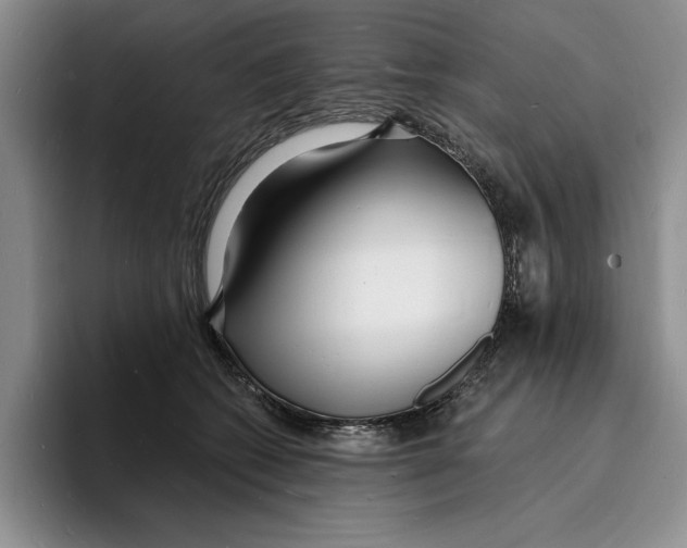 X0000096390562200802211144