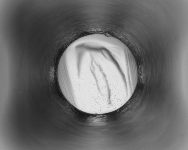 X0000096390563200802211144