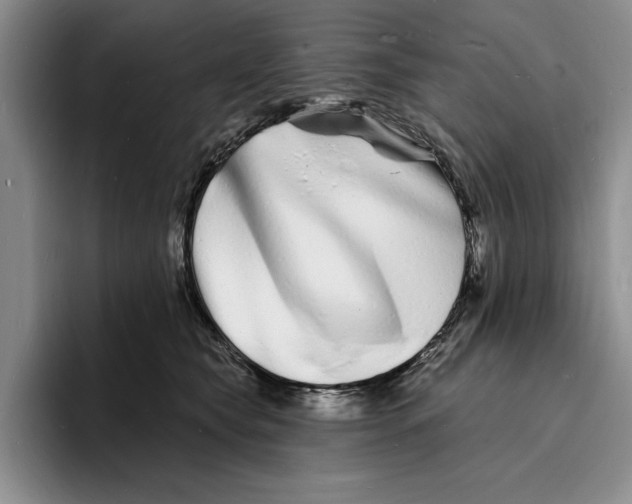 X0000096390565200802211144