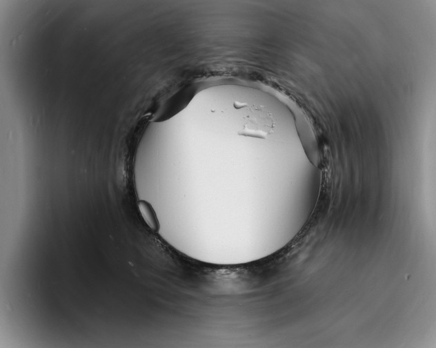 X0000096390566200802211144
