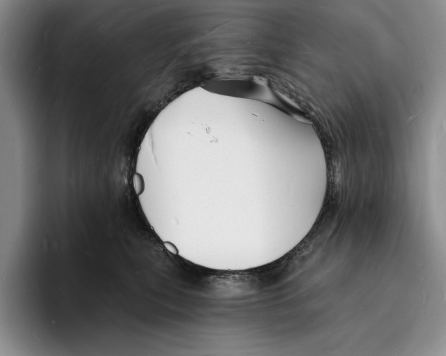 X0000096390567200802211144