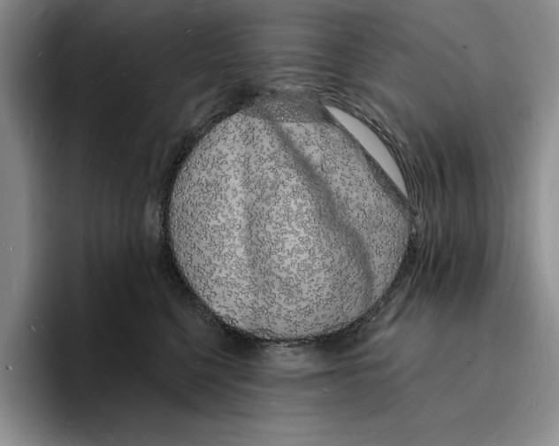 X0000096390568200802211144