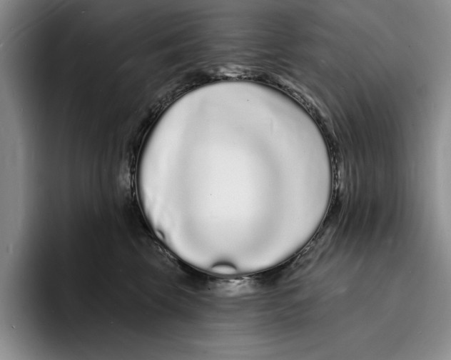 X0000096390569200802211144