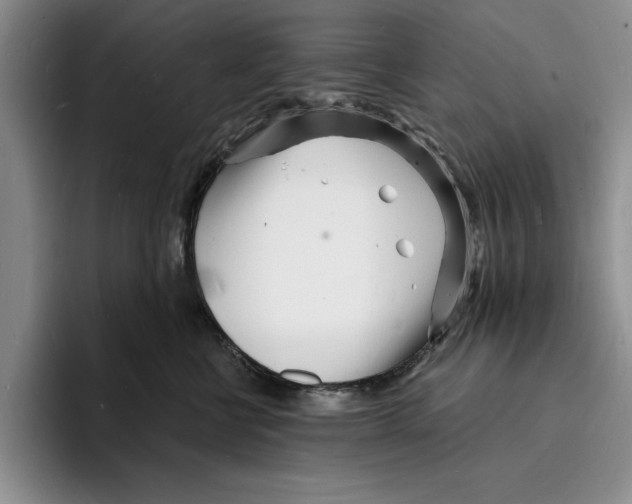 X0000096390570200802211144