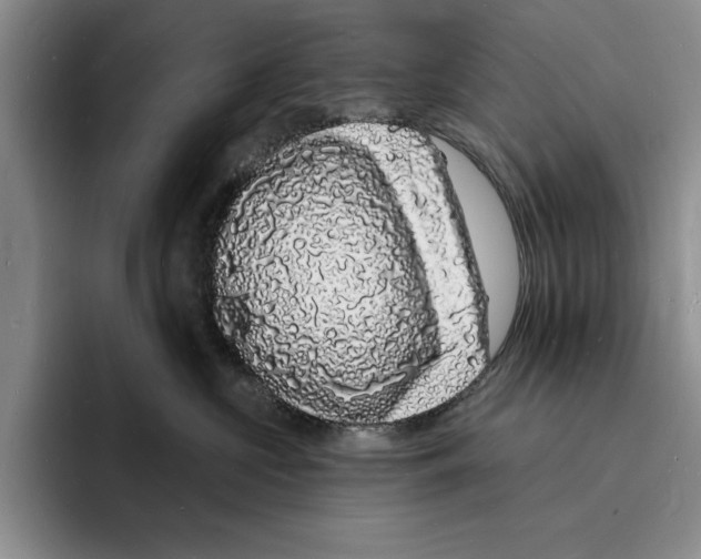 X0000096390573200802211145
