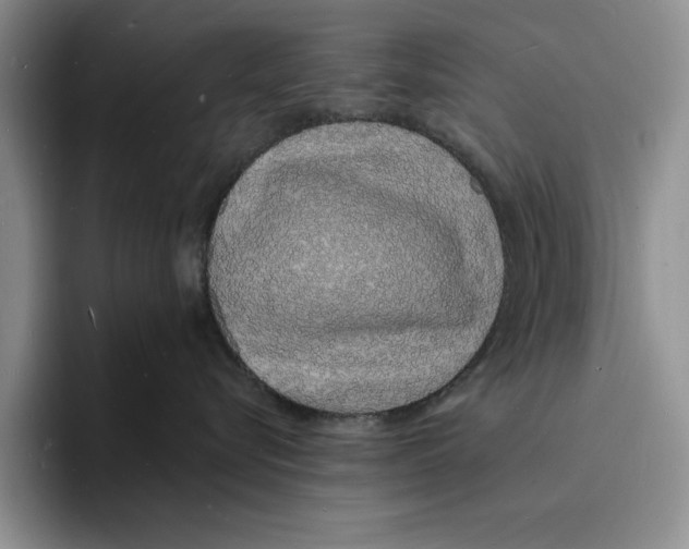 X0000096390576200802211145
