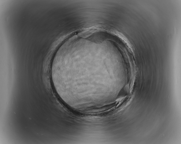 X0000096390577200802211144
