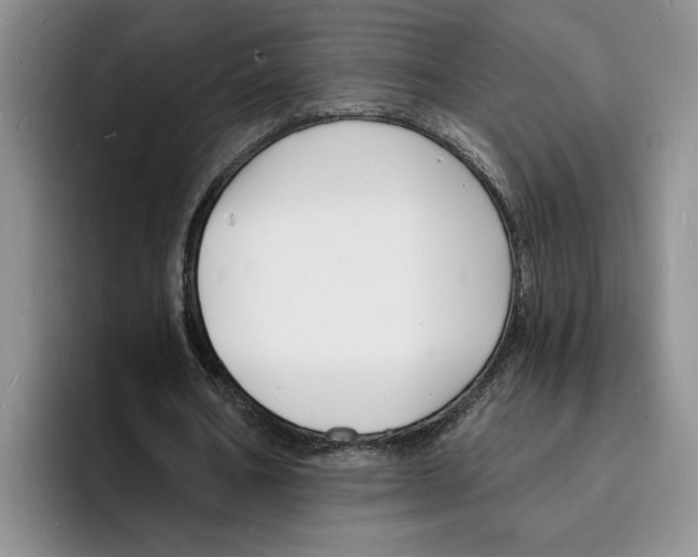 X0000096390578200802211144