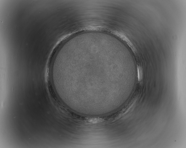 X0000096390579200802211144
