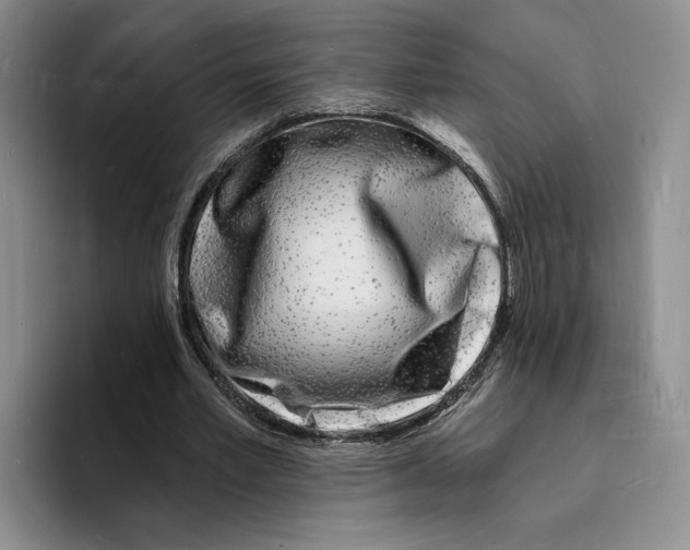 X0000096390581200802211144