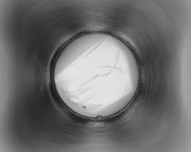 X0000096390582200802211144