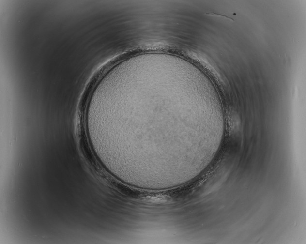 X0000096390583200802211144