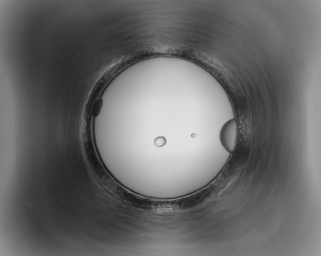 X0000096390587200802211144