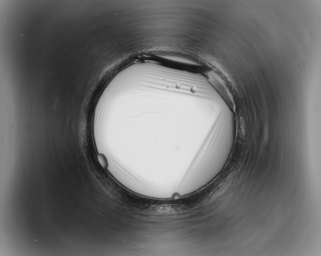 X0000096390588200802211144