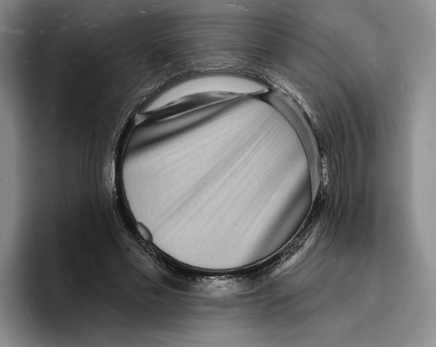 X0000096390589200802211144