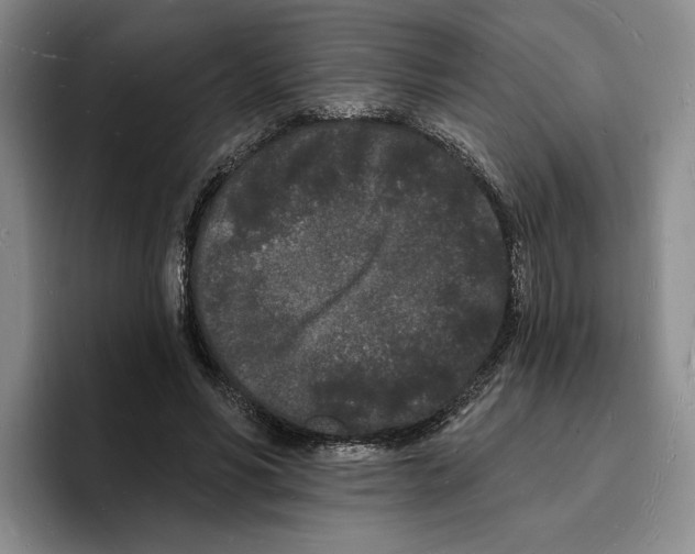 X0000096390590200802211144