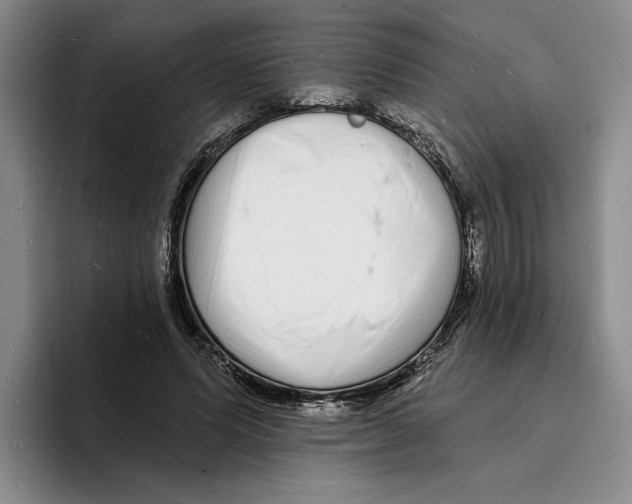 X0000096390591200802211144