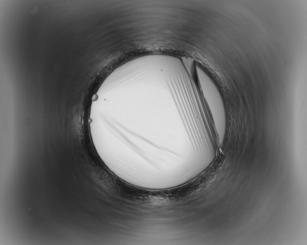 X0000096390592200802211144