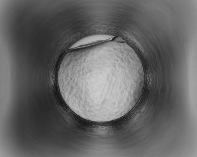 X0000096390593200802211144