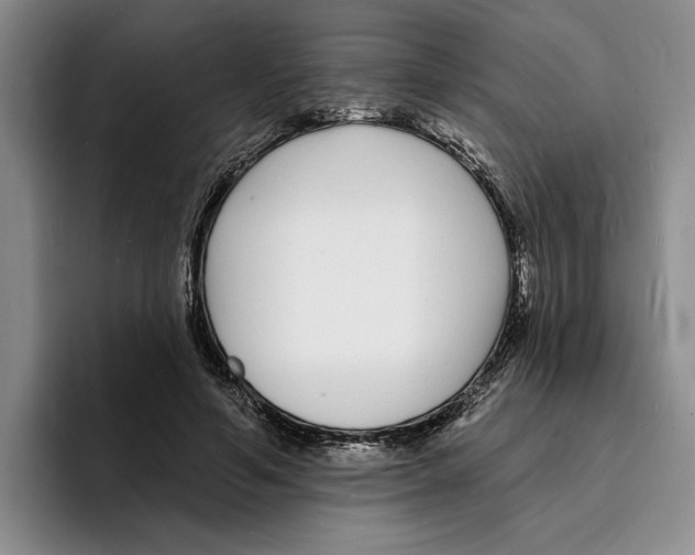 X0000096390594200802211144
