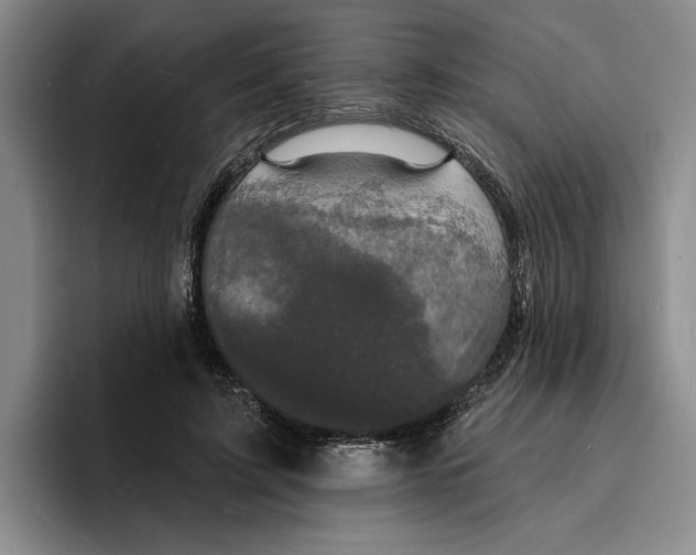 X0000096390595200802211144