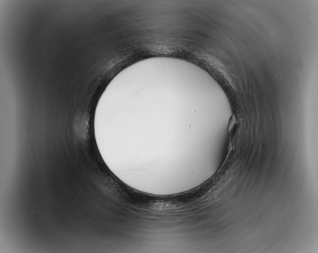 X0000096390596200802211144
