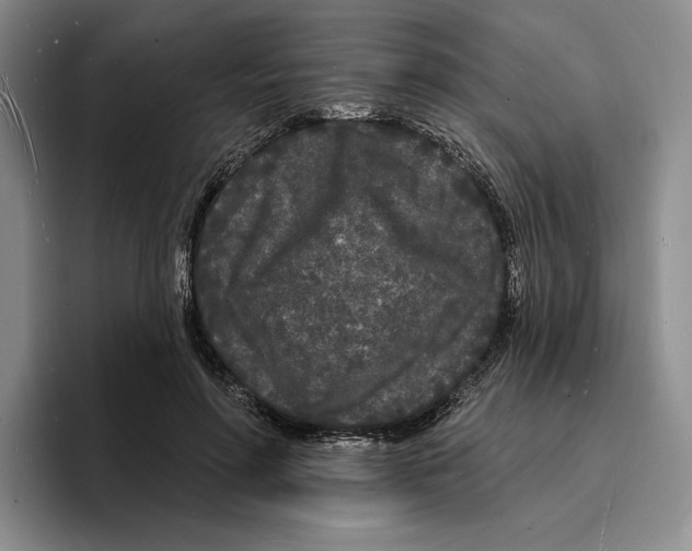 X0000096390598200802211144