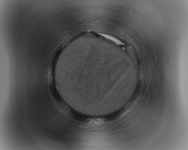 X0000096390599200802211144