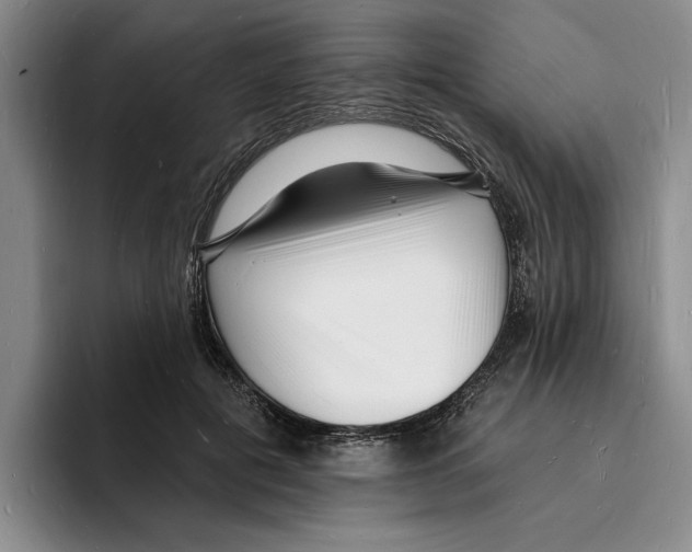 X0000096390601200802211144