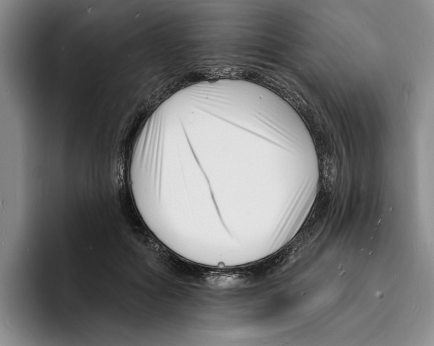 X0000096390602200802211144