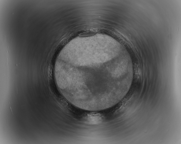 X0000096390603200802211144