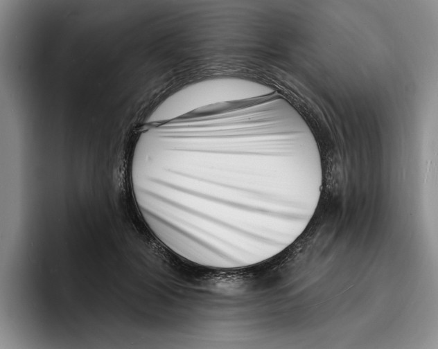 X0000096390604200802211144
